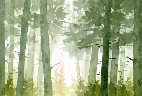 Watercolour Painting Of Forest