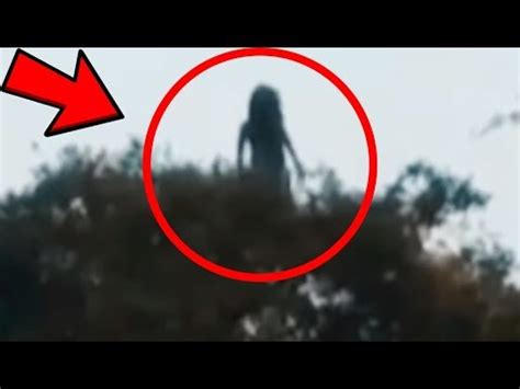 Wolfe also said that a second disturbance had been caught on camera: 6 Strange & Mysterious Unexplained Things Caught on camera ...