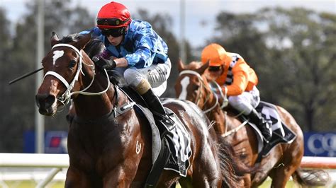 Randwick Races Odds Market Movers Best Bets Bookies Tips Daily