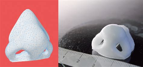 Nose Made By Bioprinters Eth Zurich