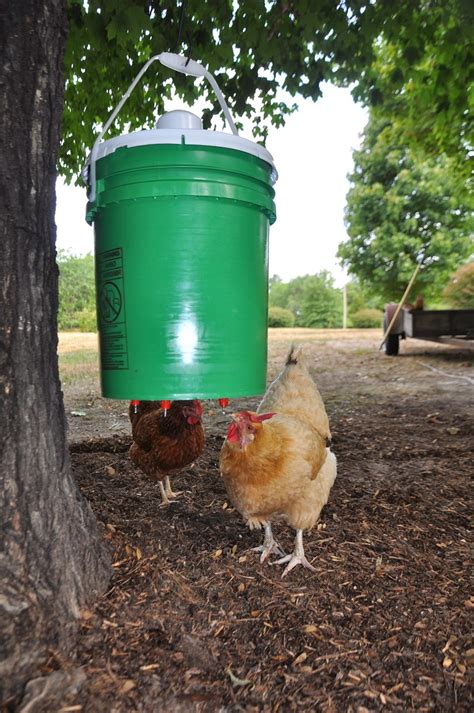 In the past we provided water for our flock of backyard chickens using all sorts of dishes then, after some experimenting, my husband made a simple, cheap, diy waterer using an old paint bucket and a few waterer nipples. DIY: Chicken Waterer | Community Chickens