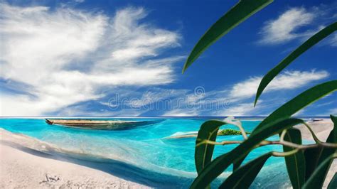Seascape Tropical Island Summer Plant And Green Sea Water And Blue