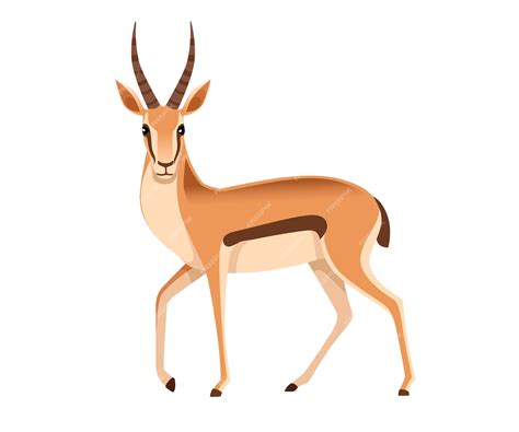 Premium Vector African Wild Black Tailed Gazelle With Long Horns