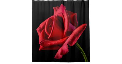 Large Stemmed Red Rose Shower Curtain Zazzle