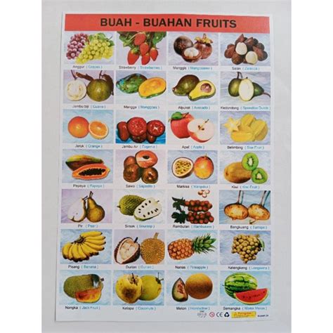 Jual Poster Edukasi Anak Buah Buahan Fruits Shopee Indonesia