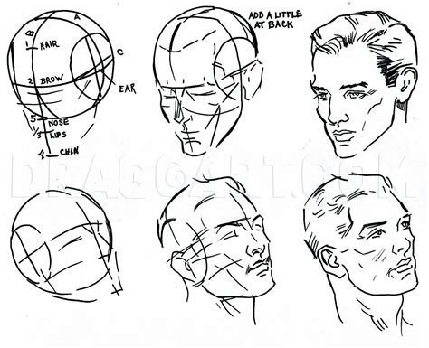 How To Draw Facial Features Features Of The Face Step By Step