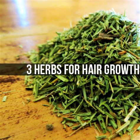 3 Herbs For Hair Growth
