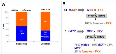 Mismatches Between The Genetic And Phenotypic Sex In The Wild Kou
