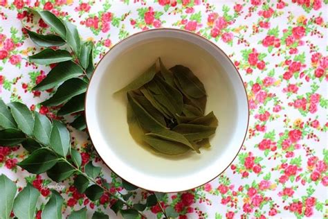 Hibiscus flowers grow on a bush that has a wide family of variants growing all over africa. Pssst… Wanna Know Some Awesome Black Hair Growth Secrets?