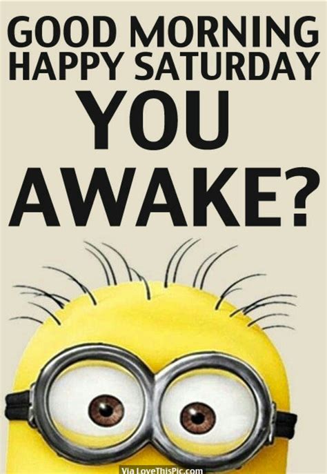 100 funny good morning memes memes of good morning 9b4 – Artofit