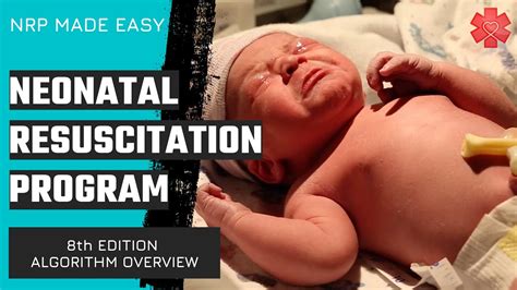 Neonatal Resuscitation Program Nrp Algorithm Overview 8th Edition Youtube