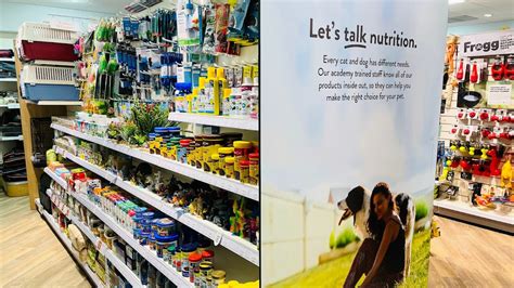Pets Corner Basingstoke, Your Best Reviewed Local Pet Shop