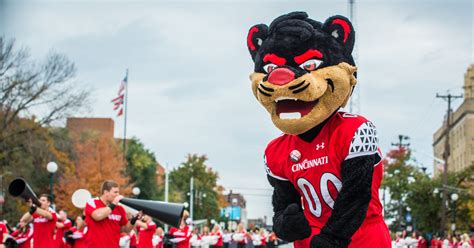 University Of Cincinnati Bearcats Mascot Plays Tug Of War On Fox And Friends