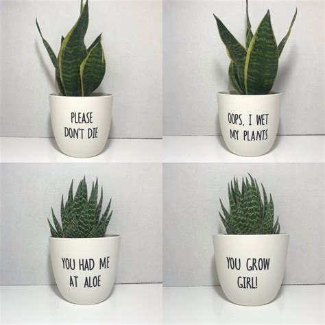 Funny Plant Pot Pun Decal Custom In 2021 Potted Plants Plants