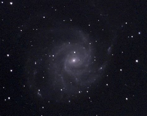 Record Breaking Team Of Citizen Scientists Contribute Data On Pinwheel Galaxy Supernova