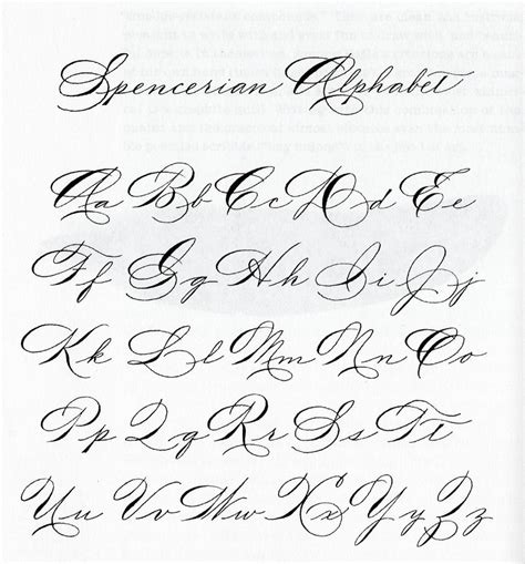Looking For Certain Spencerian Exemplar Calligraphy Discussions
