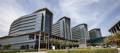 Sheikh Shakhbout Medical City Completes First Hip Arthroscopy In Abu