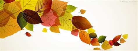 Fall Leaves Facebook Cover Photo
