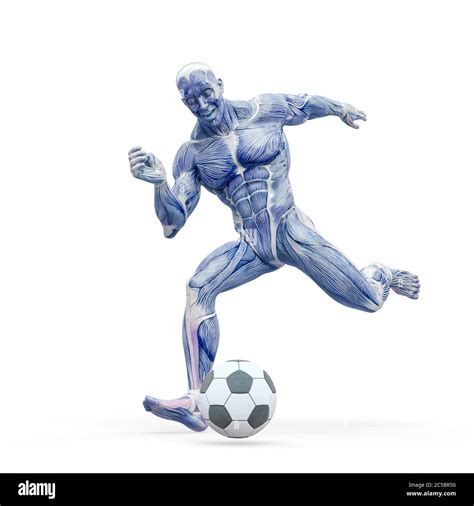 Muscleman Anatomy Heroic Body Kicking The Football Ball In White Background 3d Illustration