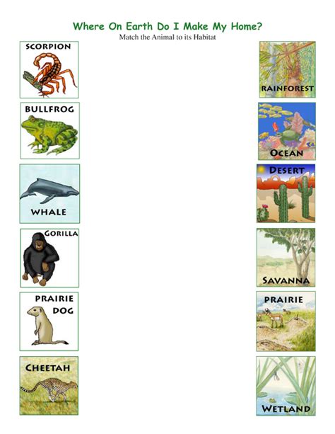 Habitat Of The Animals Worksheets