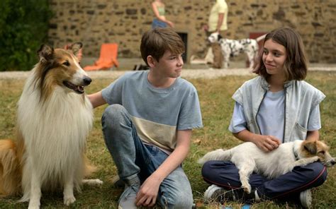 Lassie In Südtirol Das Sind Die Kino Highlights Der Woche