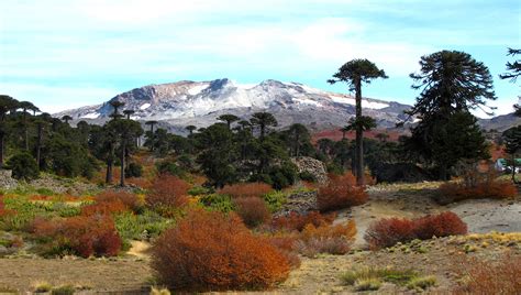 There are nine volcanic craters along a 2 km (1.2 mi) line, the easternmost of which is historically the most active. Volcán Copahue: Sernageomin bajó alerta a verde | Neuquén ...