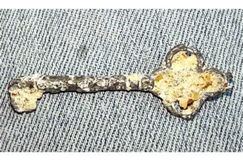 20 People Share Their Amazing Metal Detector Discoveries Barnorama