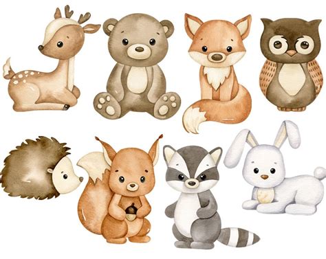 Woodland Animals Watercolor Clipart Forest Animals Clip Art Etsy In