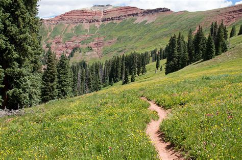 Desktop Wallpapers Usa Colorado Path Spruce Nature Mountains Grass