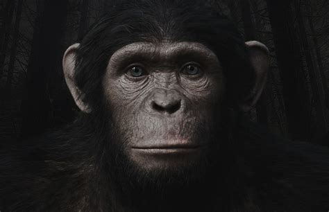 image blue eyes png planet of the apes wiki fandom powered by wikia