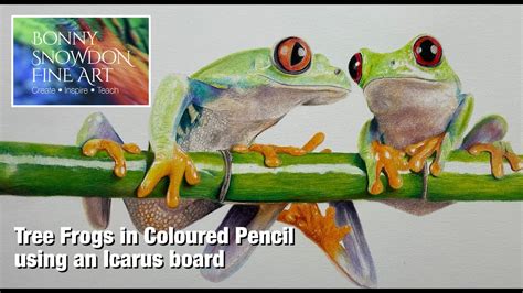 Easy Way To Blend Coloured Pencils Drawing Tree Frogs Using An Icarus