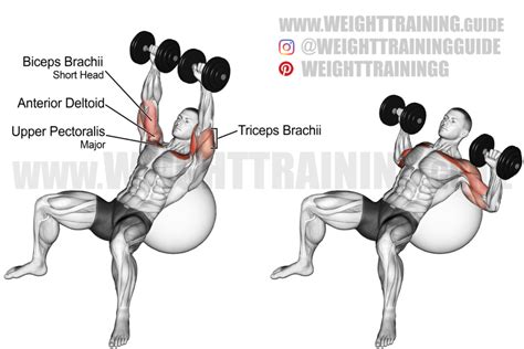 Seated Neutral Grip Dumbbell Overhead Press Instructions And Video