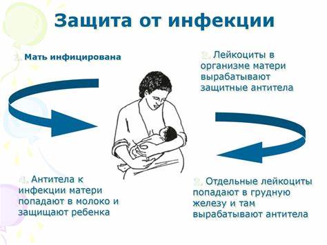 Грудное вскармливание - online presentation Картинка - Грудное вскармливание - online presentation