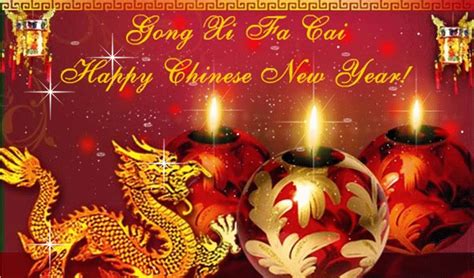 Chinese New Year  2019 Hd Wallpapers S