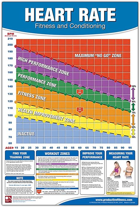 Fitness Heart Rate Chart Poster Training Zone Chart
