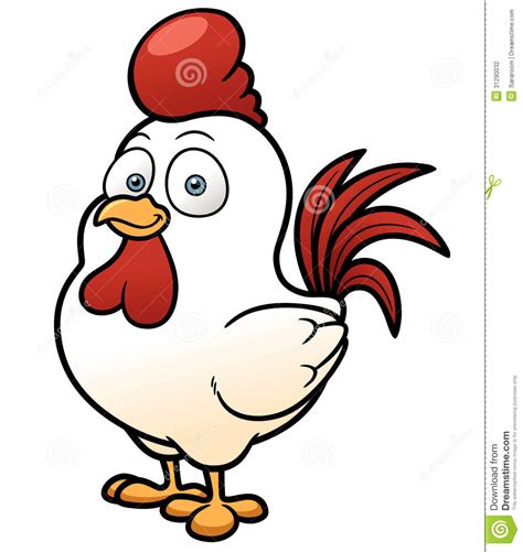 Cartoon Chicken Stock Photography Image 31290032