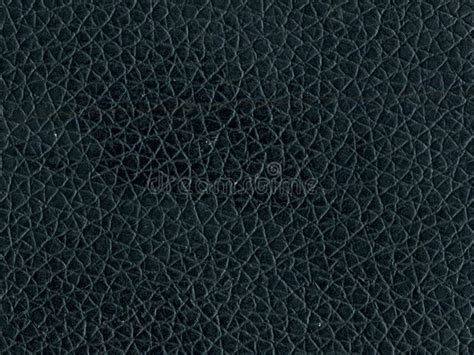 Leather Skin Texture Macro Texture Stock Photo Image Of Textured