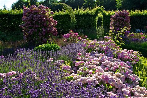 Rosen Und Lavendel English Country Gardens Country Gardening Classic