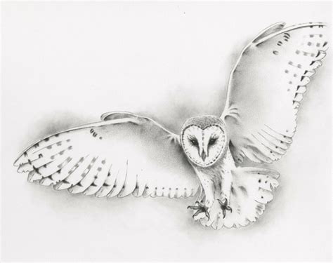 Original Pencil Flying Barn Owl Drawing Owl Art By Jaclynsstudio Owls