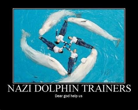 Funny Animal Motivational Posters Funny Animal Demotivational Posters