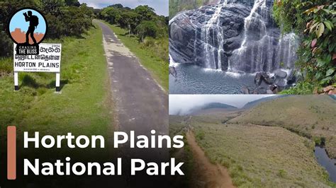 Horton Plains National Park In Sri Lanka Youtube