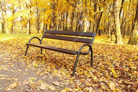 Bench In The Park Autumn Leaves — Stock Photo © Agnieszkag 6299735