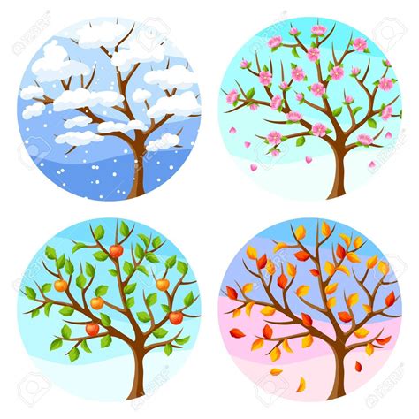 Four Seasons Trees With Leaves And Snow