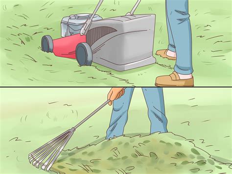 How to kill rabbits, or get rid of them proactively. How to Get Rid of Ticks on Rabbits: 9 Steps (with Pictures)