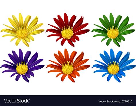 Flowers In Six Different Colors Royalty Free Vector Image