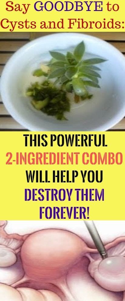 Say Goodbye To Cysts And Fibroids This Powerful 2 Ingredient Combo
