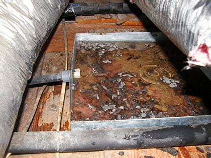 Price and other details may vary based on size and color. What is an AC float switch and why do I need one? - Adams ...