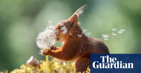 Comedy Wildlife Photography Awards 2019 Finalists In Pictures