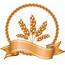 Wheat PNG Image  PurePNG Free Transparent CC0 Library