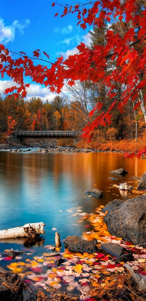 Nature Autumn Bonito Beauty Scenery Landscapes Forest Red Fall